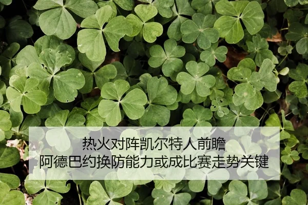 热火对阵凯尔特人前瞻 阿德巴约换防能力或成比赛走势关键
